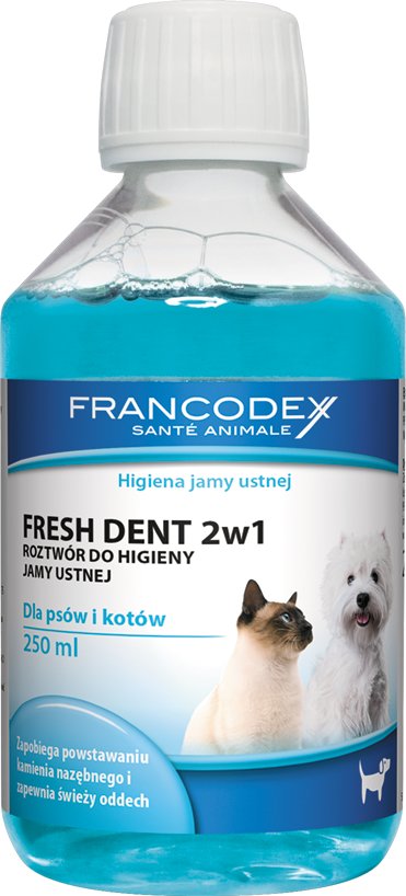 FRESH DENT płyn do jamy ustnej dla PSA KOTA 250 ml 8698653148 Allegro pl