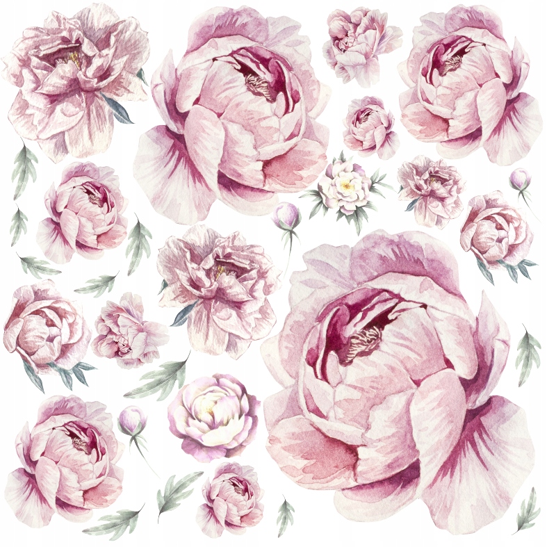 PIWONIE kwiaty PEONIE Naklejki na ścianę 100x100 7795594944 Allegro pl