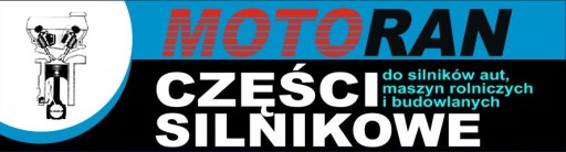 Основні Вкладиші Opel 2.2 16V Z22SE STD - 4