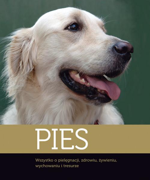 

Pies