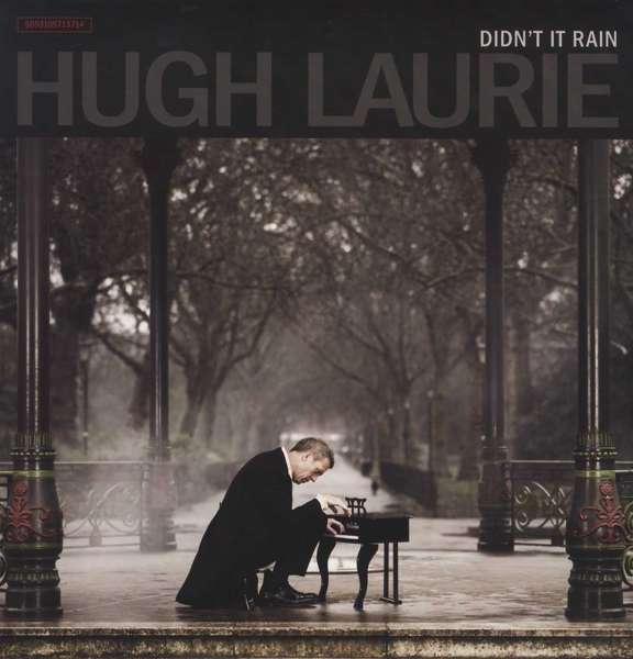 

Hugh Laurie Didn't It Rain Lp