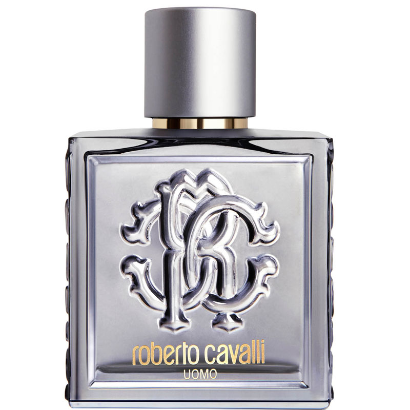 

Roberto Cavalli Uomo Silver Essence 100 ml Edt