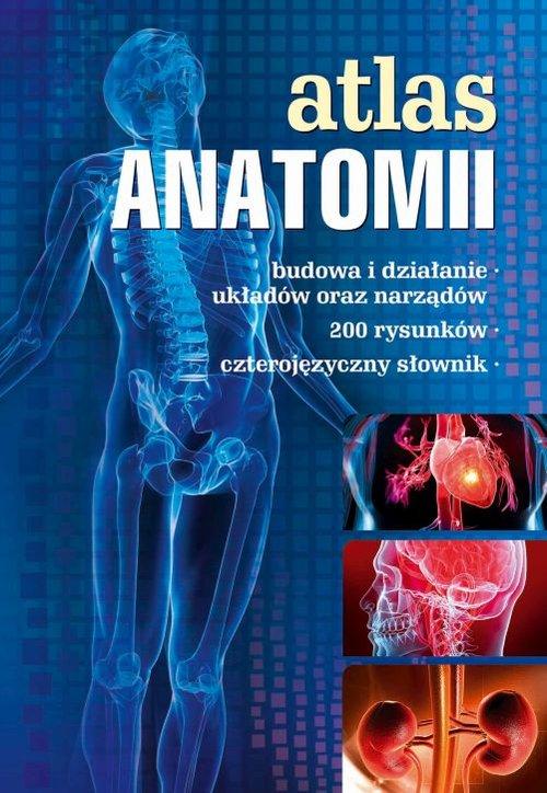 

Atlas anatomii Mazurek Justyna