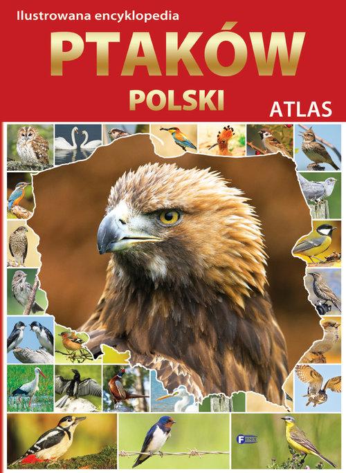 

Ilustrowana encyklopedia ptaków Polski
