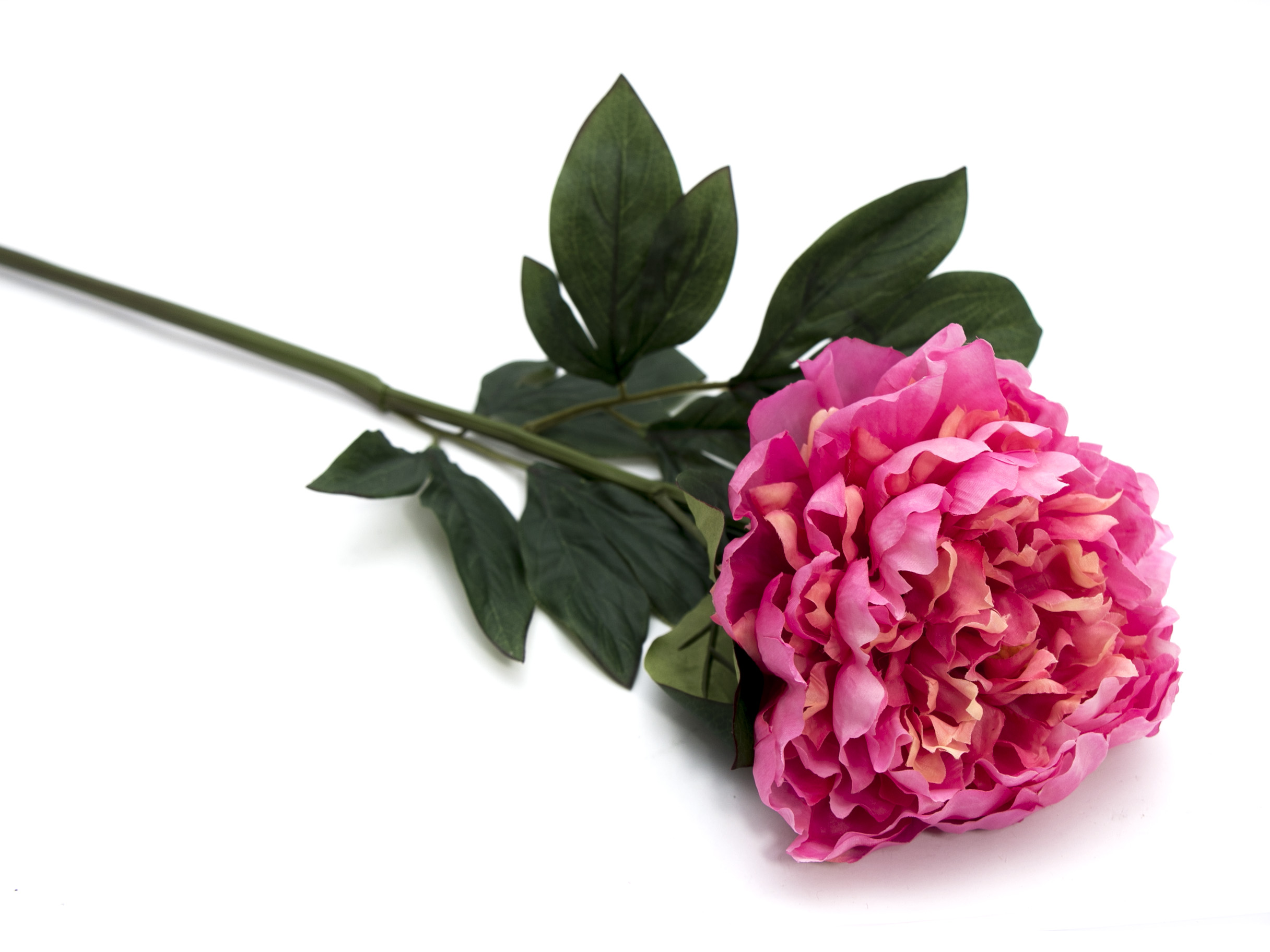 

Peonia Piwonia Gałązka Jak Naturalna 72cm śred17cm