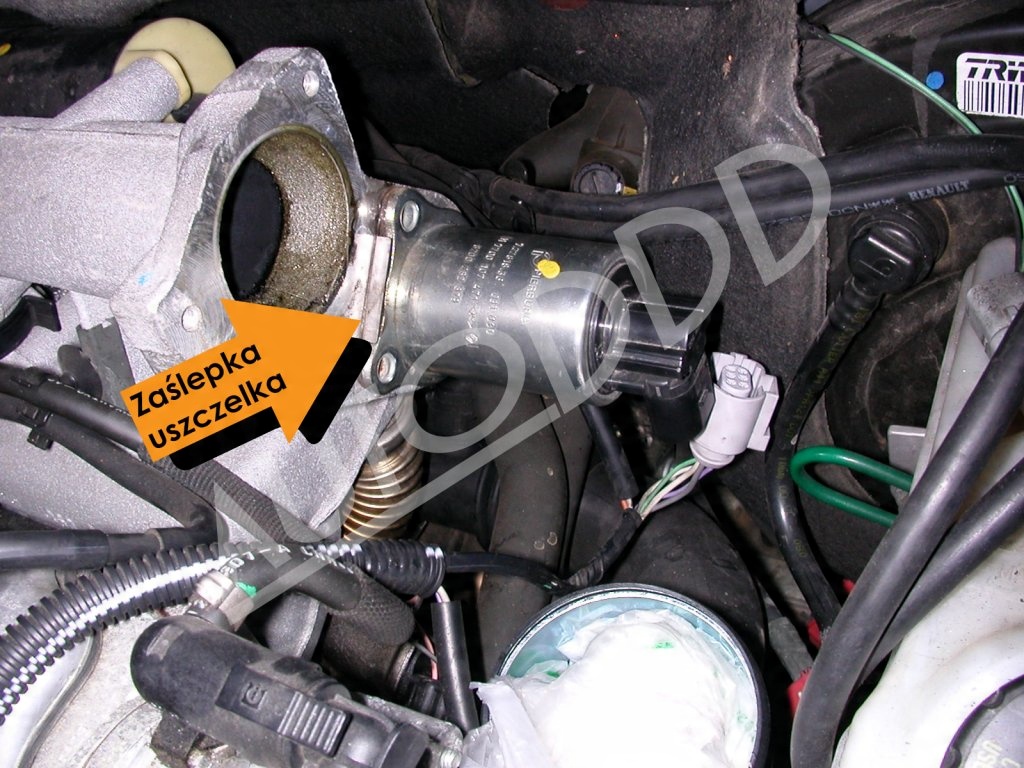 Где находится клапан егр duster 2.0 1. Zaślepka EGR RENAULT 1.9 dCi OPEL 1.9 DTI DI Z1 za 14,90 zł z GNIEZNO - Alleg