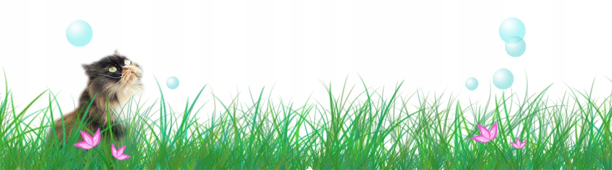 LOL Surprise GLITTER ŚNIEŻNA KULA Oryginał MGA Marka L.O.L. Surprise