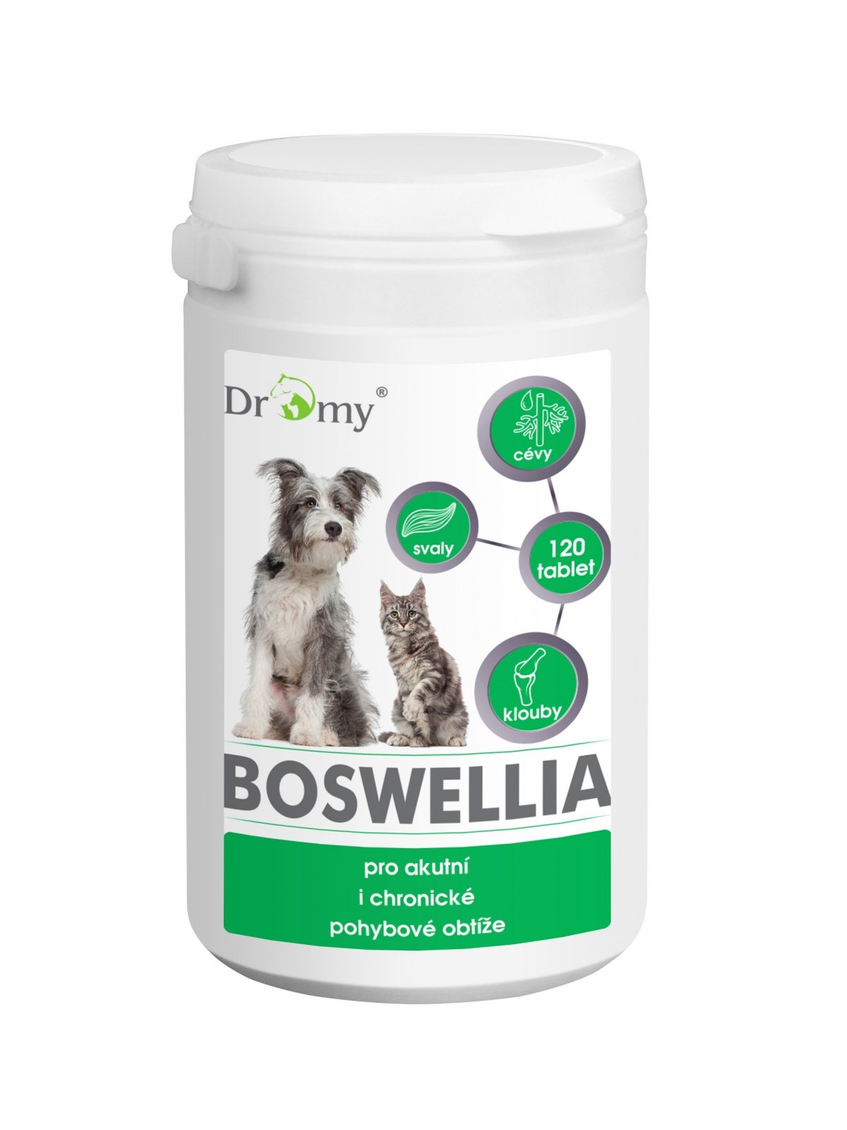 Dromy Boswellia Serrata 120t. na stawy dla kotów