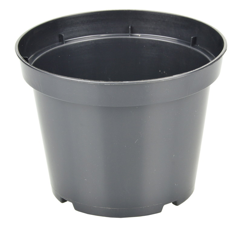 

Doniczki produkcyjne twarda 11cm 200szt PBN11