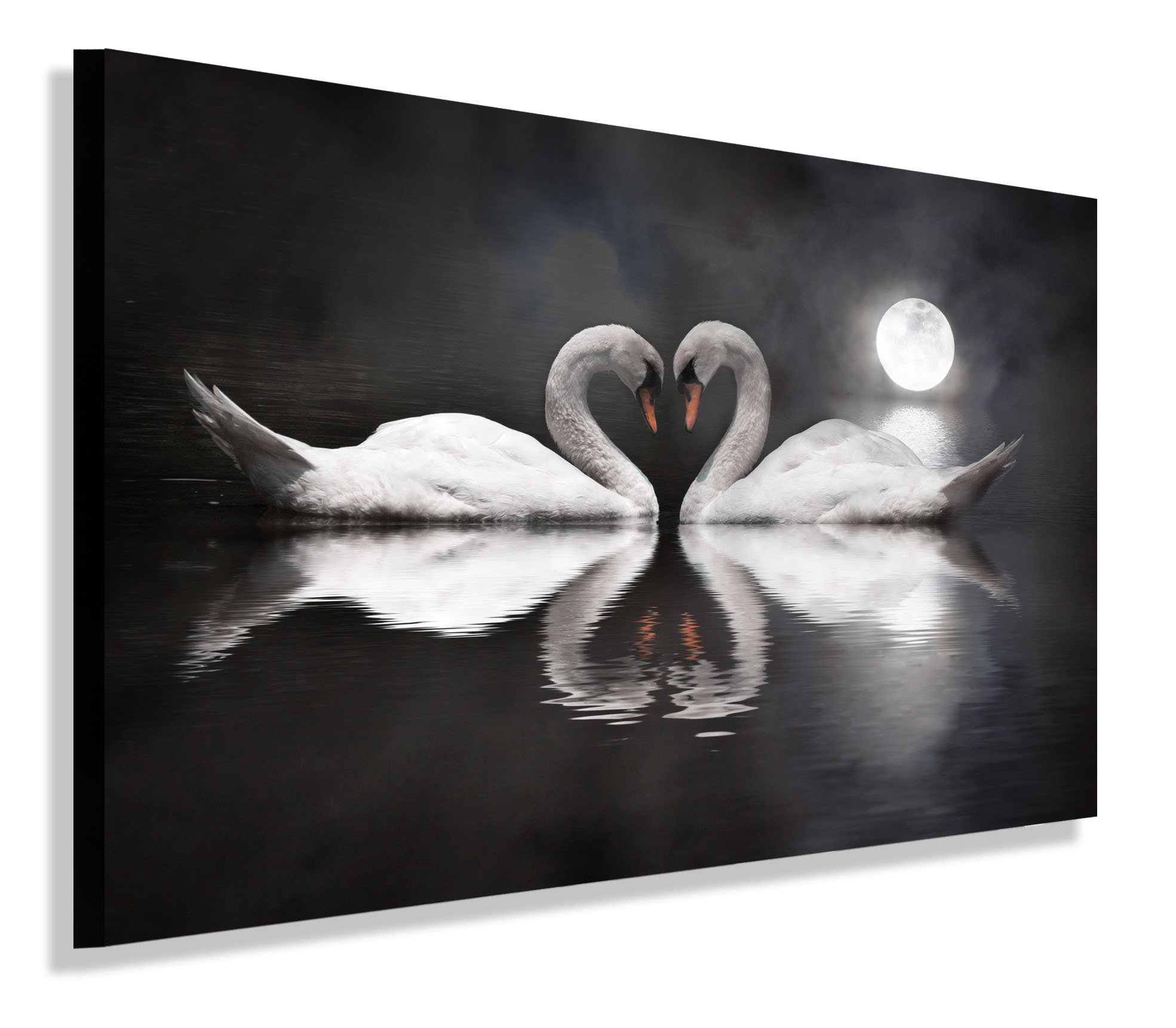 

Obraz Dwa Łabędzie Księżyc 120x80 do salonu