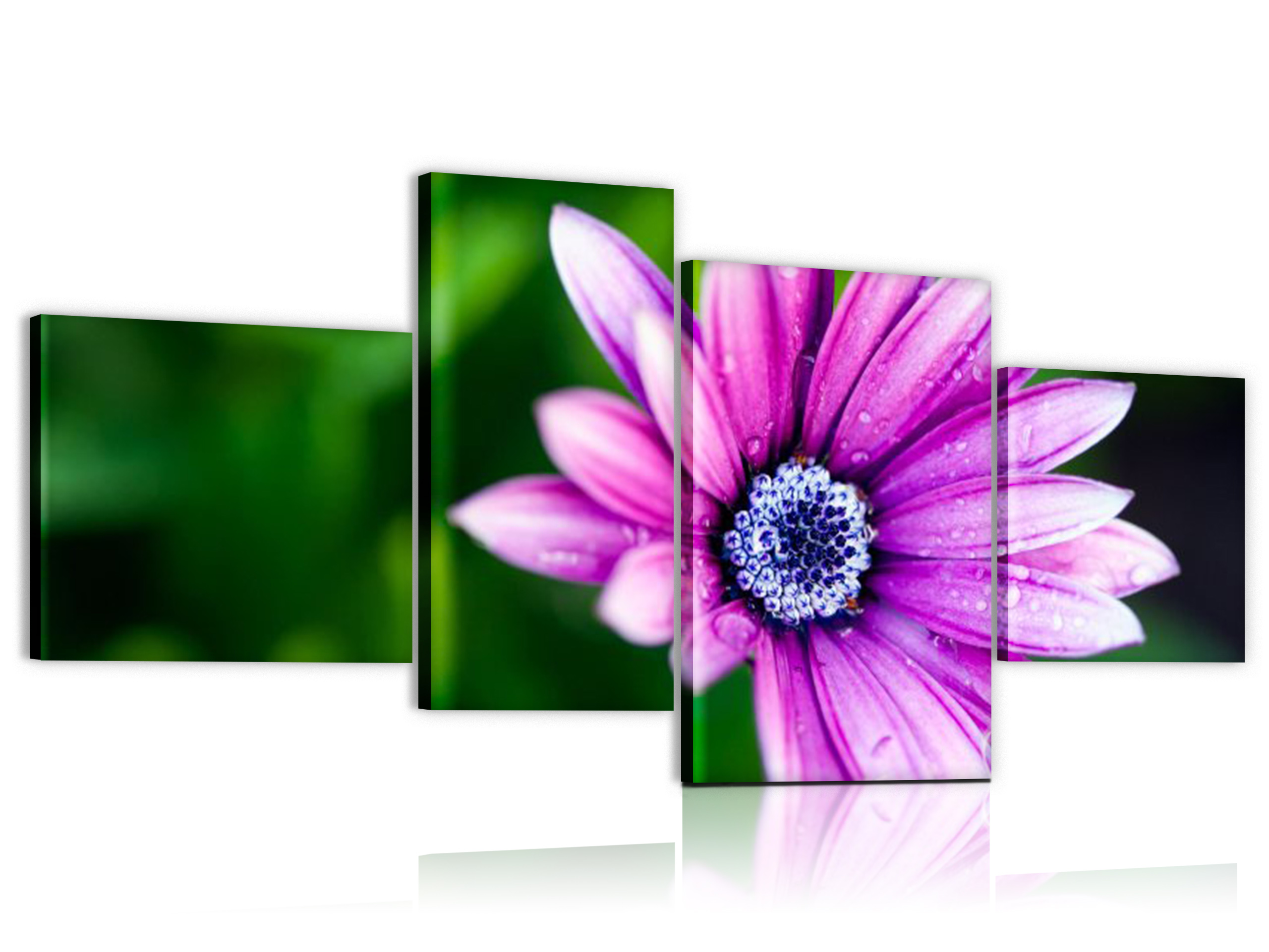 

obraz 150x70cm Tryptyk Kwiat Gerber obrazy