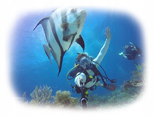 MONOPOD WODOODPORNY selfie stick kijek do GoPro 8 Rodzaj inne