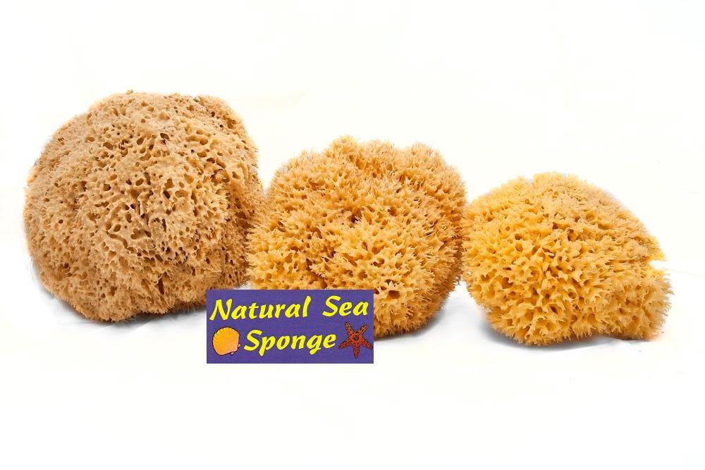 NATURALNA GĄBKA MORSKA 9-10cm ZERO WASTE