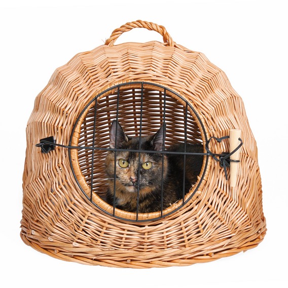 

Trixie Kosz wiklinowy transporter dla kota 50 cm