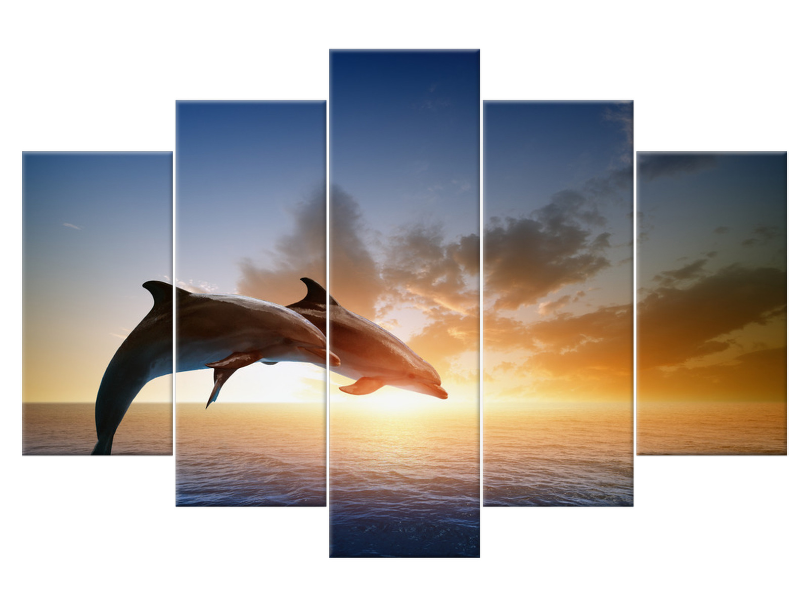 

Obraz Delfiny Zwierzęta 150x100 1358A_5G salon