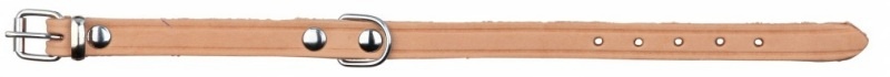 

Obroża Skórzana Skóra Psa M 37-43cm 18mm TX19342