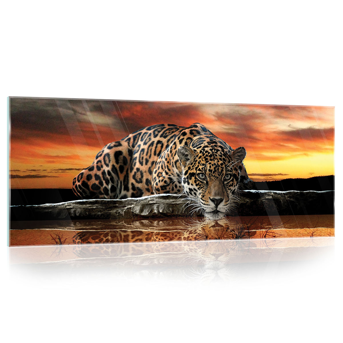 

Obraz Szklany Jaguar Dziki Kot Zwięrzęta 125X50