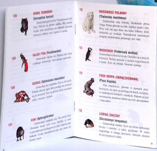 Globus ZOOLOGICZNY 220 mm + książka + karton ZOO Płeć Chłopcy Dziewczynki