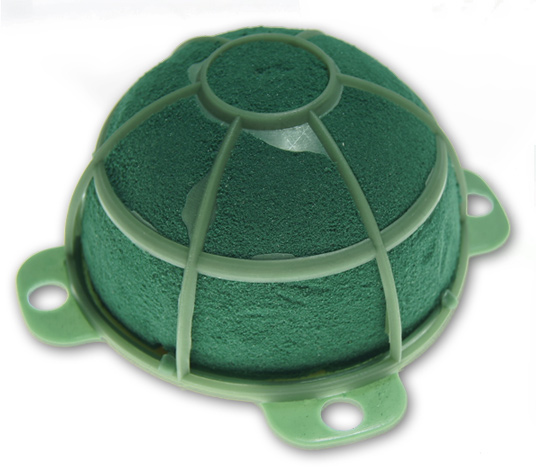 

Floret Turtle Gąbka Mokra Kwiaty Żywe - Śr. 11 cm