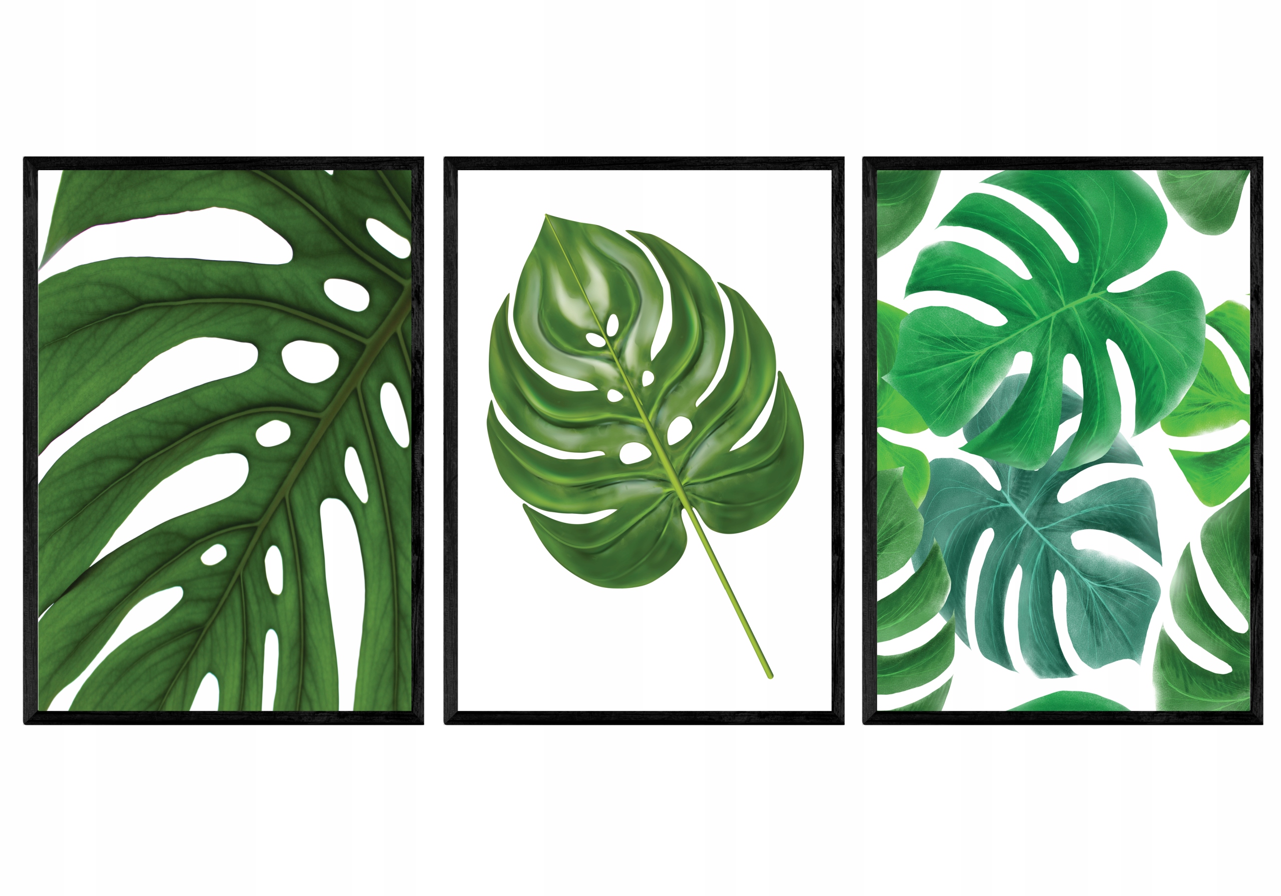 НАБОР из 3 Х А4 ПЛАКАТЫ КАРТИНКИ МОНСТЕРА ЛИСТЬЯ ПАЛЬМ