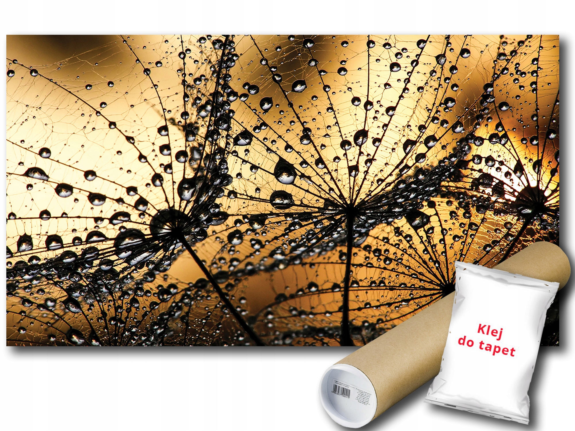 Fototapeta Dmychadla Déšť 9A Fxl 208x146 F1008