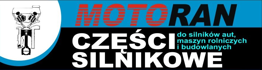 Panewki korbowodowe BMW 1.6-3.0 N54 N55 N20 +0,25 Numer katalogowy części CR 222SV0.25