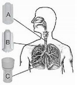 NEBULIZATOR DO INHALATORA+MASKA ANDYFLOW ANDY FLOW Marka Andy Flow