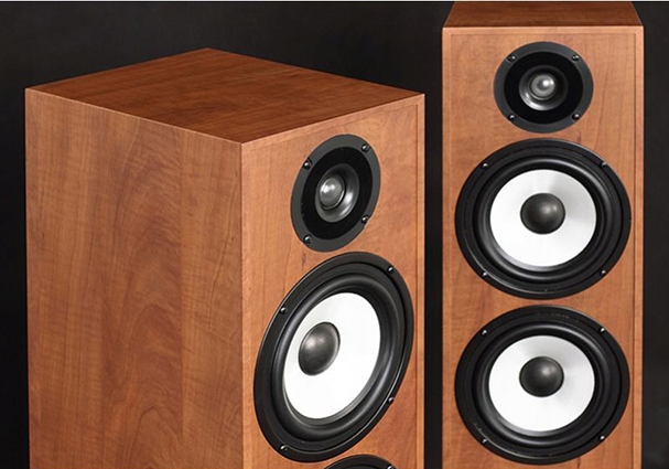 Pylon Audio Pearl 25 | Kolumny Podłogowe Kolor czarny