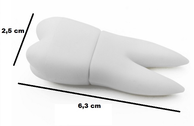 PENDRIVE USB 16 GB BIAŁY ZĄB DENTYSTA PRO WYS24HPL Model Ząb