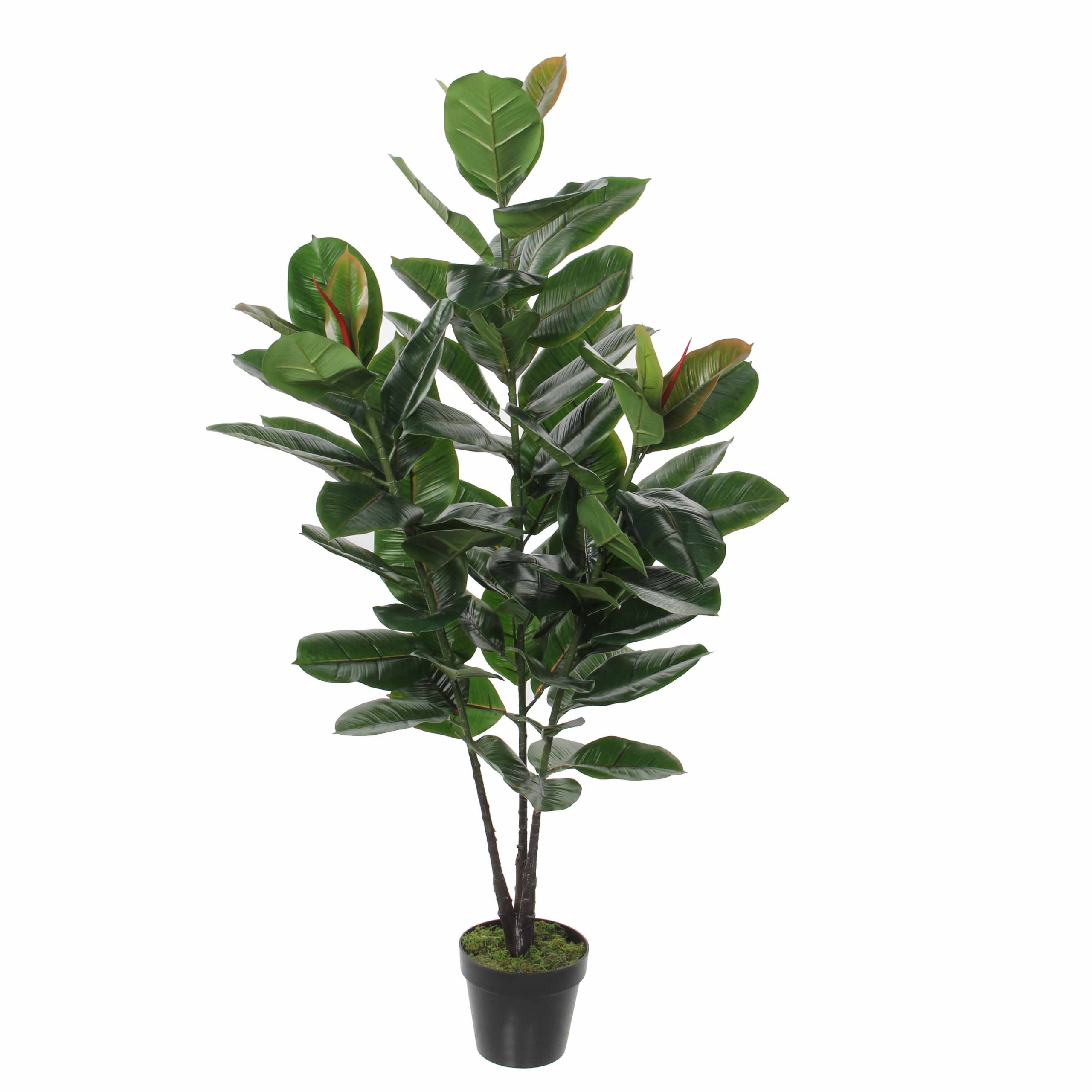 

sztuczny Fikus cyathistipula 130 cm Drzewko ficus