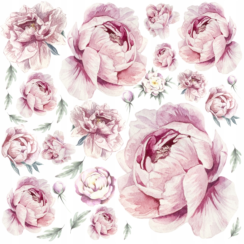 

Piwonie kwiaty Peonie Naklejki na ścianę 100x100