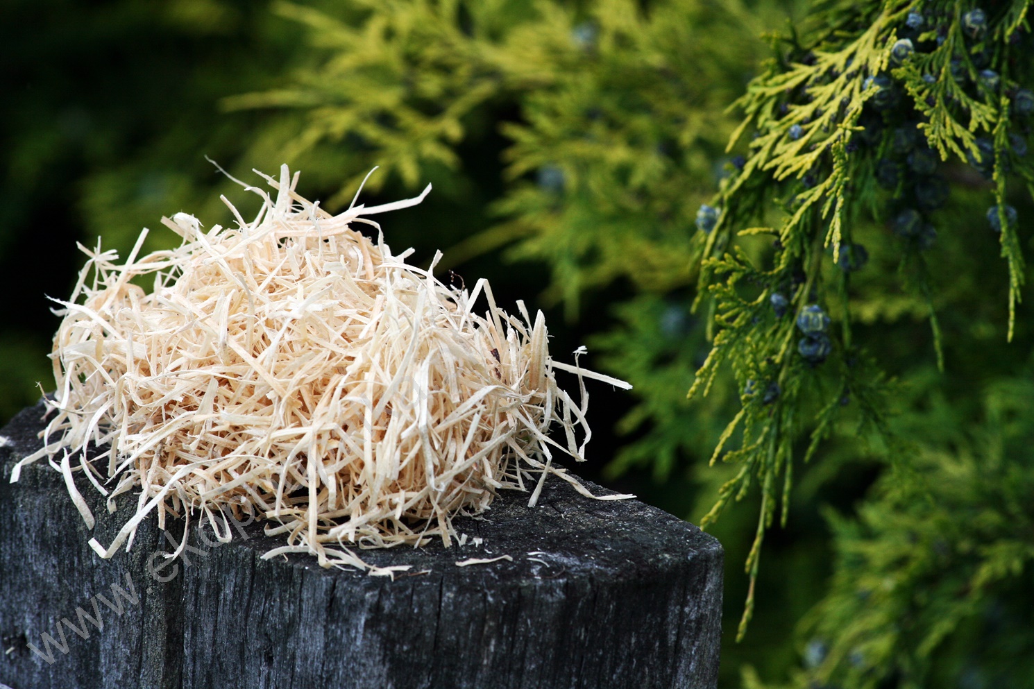 FENIKS Ekopodpałka Sypana Podpałka Grillowa 2,5l. Typ produktu rozpałka