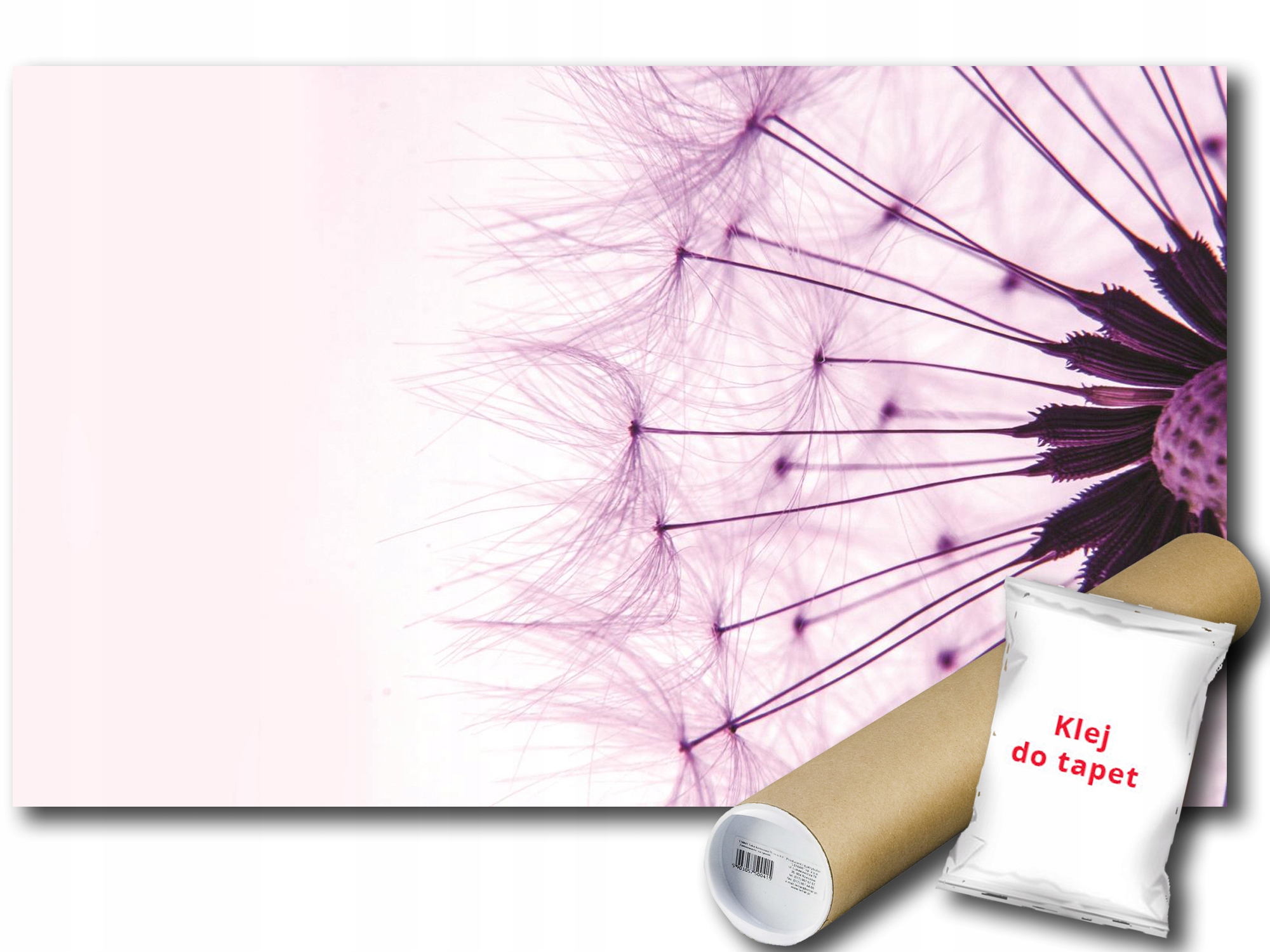 Fototapeta Púpava 9A F3XL 416x254 F1025