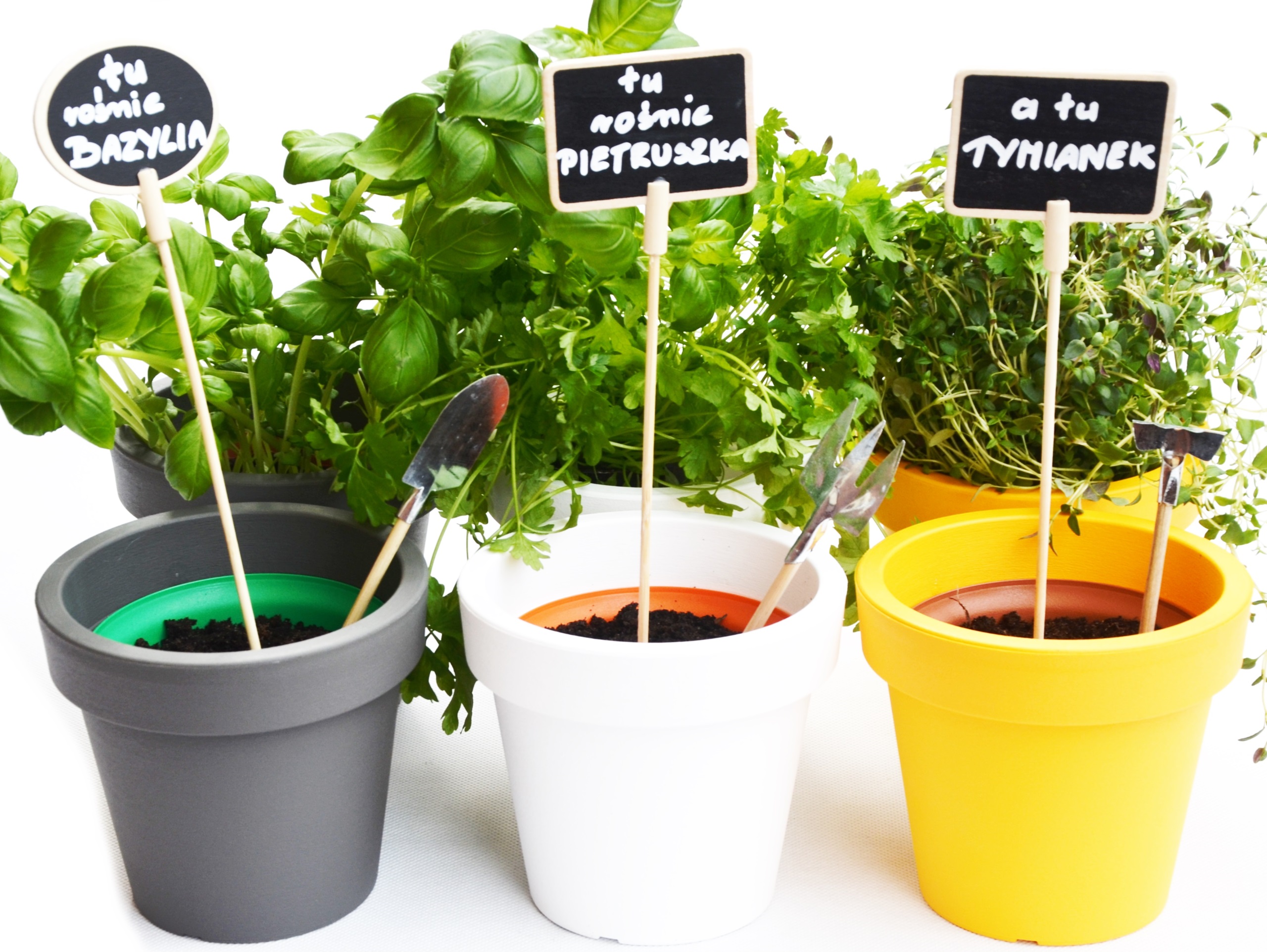 Doniczki na Zioła Duży Zestaw na Nowy Dom