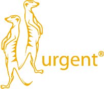 URGENT 210 BUTY ROBOCZE OCHRONNE ZAMSZOWE S1 r 43 Brand Urgent