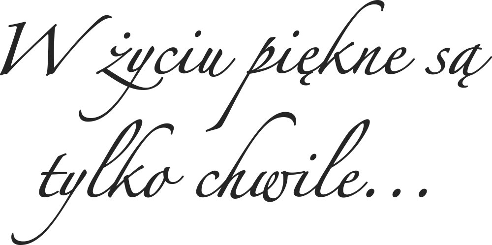 

Naklejka na ścianę Cytat Piękne są chwile 140 cm