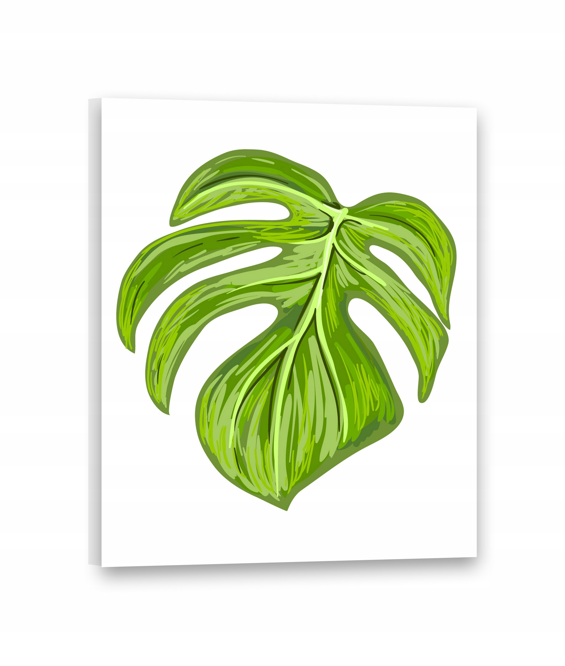 

Obrazy na płótnie 40x50 Obraz Liście Monstera