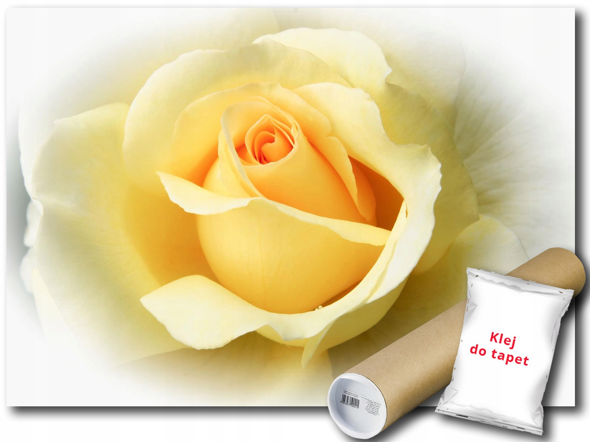 Fototapeta Žltá Ruža 9B F2XL 312x219 F1569