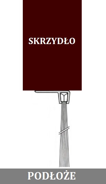 Szczotka uszczelniająca kątowa H-25mm długość 100cm Marka Ragen