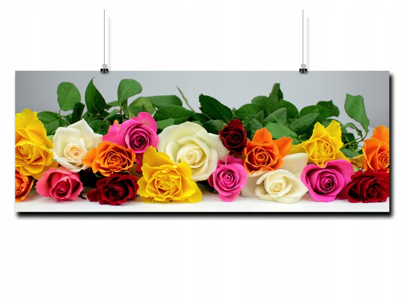 

Plakat Panorama Widok Góry 106x40CM Mat 9 Wzorów