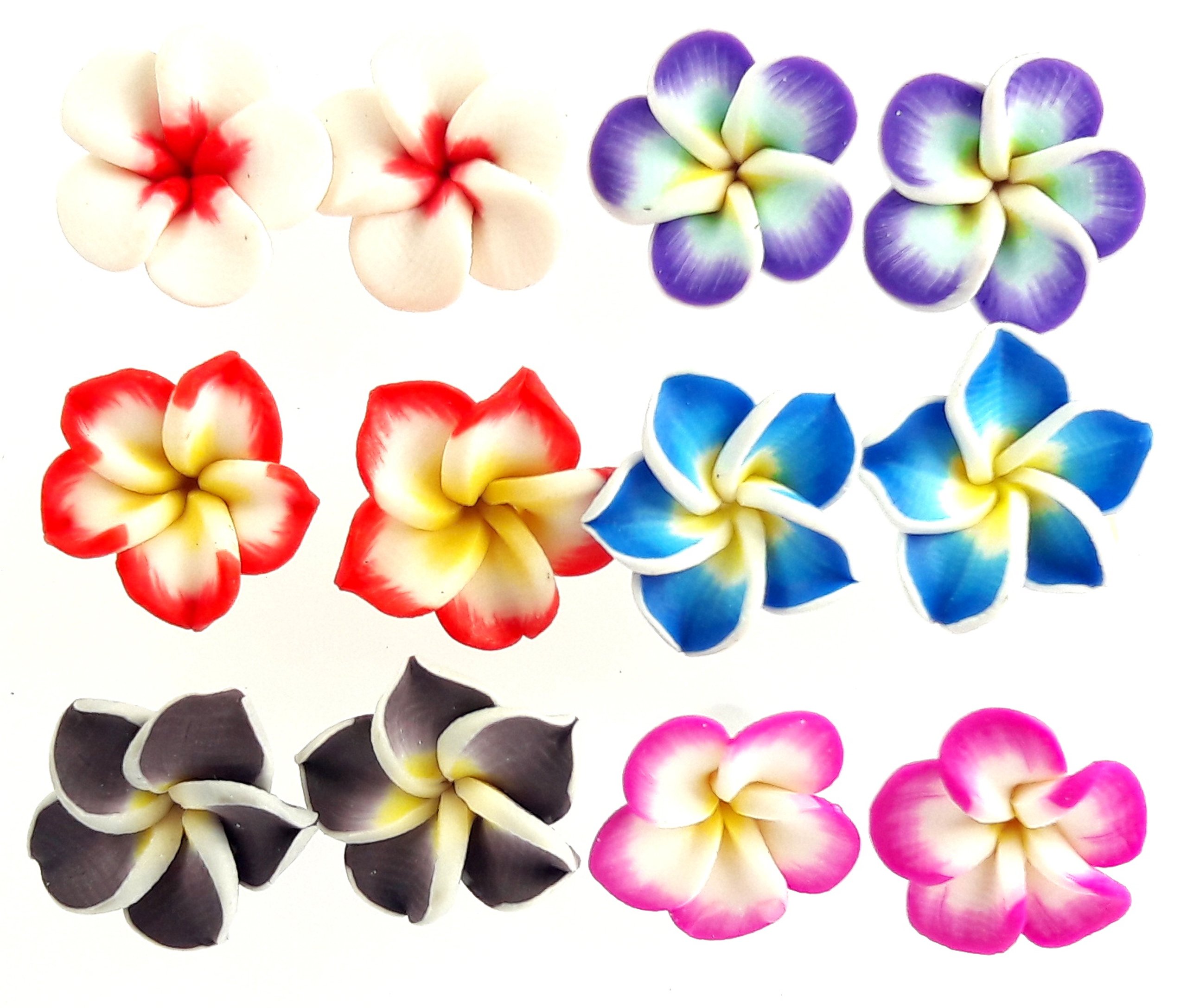 Sada náušníc 6 párov havajské kvety kvet