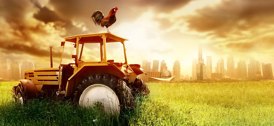 Palety wysiewne,doniczki 54 rozsadów wielodoniczka Kod producenta 54 okr