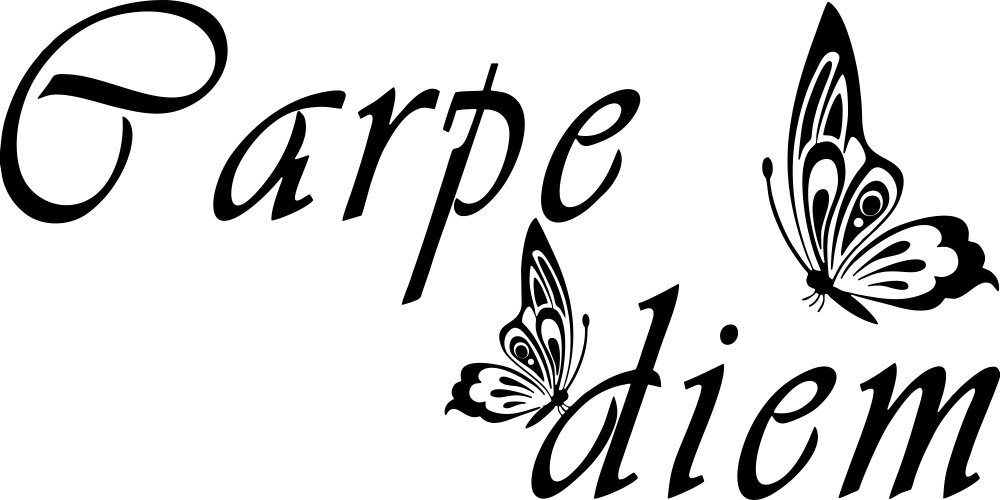 

Naklejka na ścianę Cytat Carpe diem 100 cm