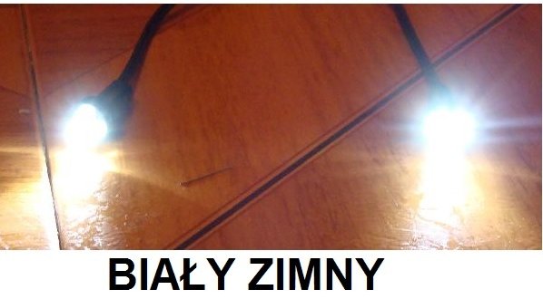 Ad9d5f99488bbb936a7c81c6d97f