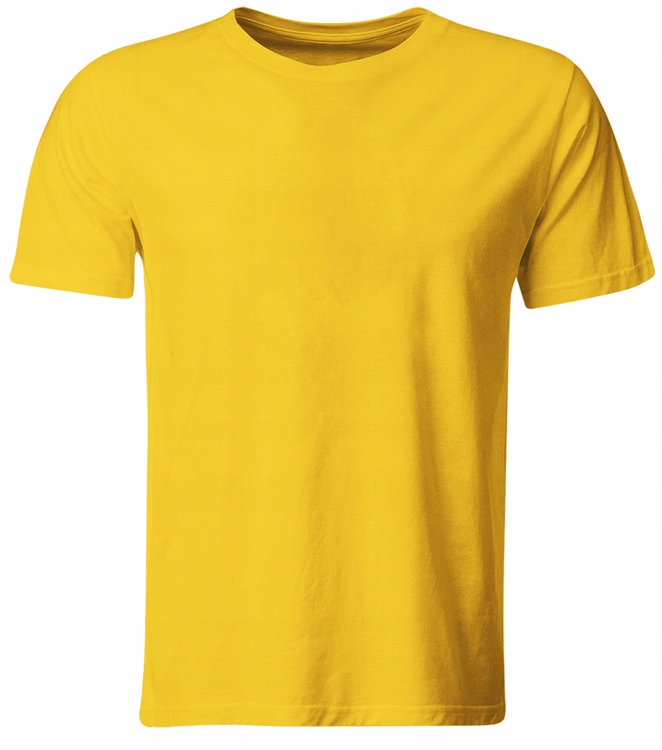 

Koszulka T-shirt Męska Premium Różne 190G