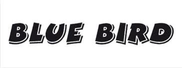 ZACZEP UCHWYT DO PRZYCZEPKA ROWEROWA DYSZEL NA OŚ Marka Blue Bird