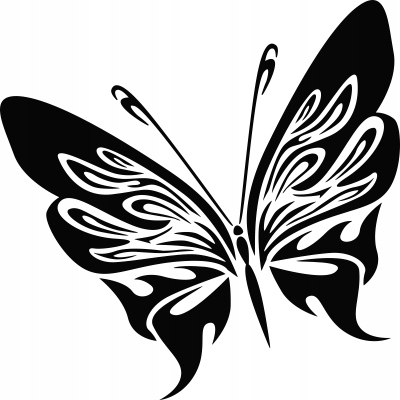 

Naklejka na ścianę z motylem Motyl 25 cm