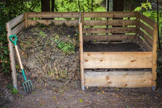 2 x міцелій для розкладання стовбурів дерев і компостування Type For Trunk Decomposition