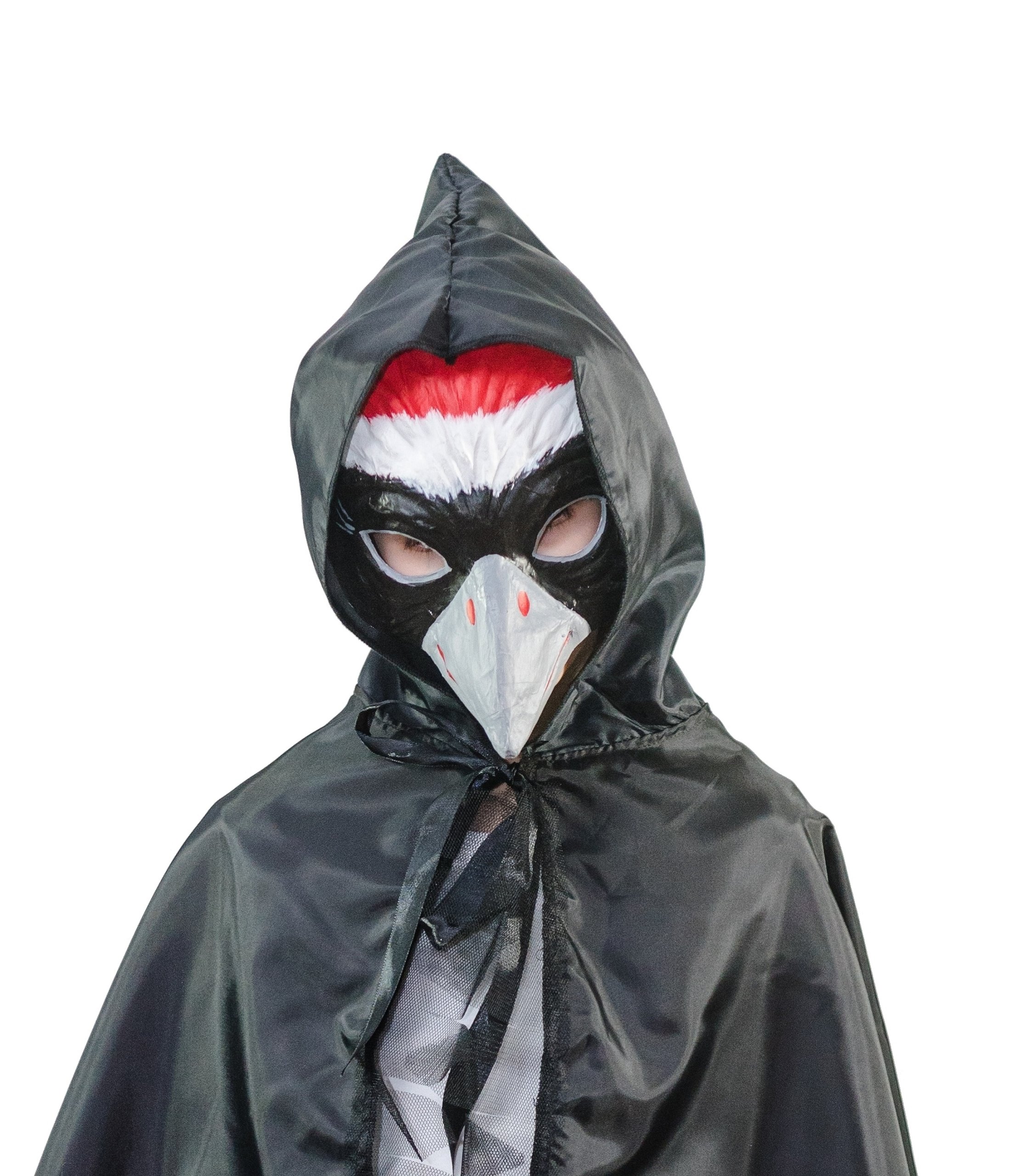 Peleryna czarna ptak wrona kawka jaskółka kruk Motyw Ptak