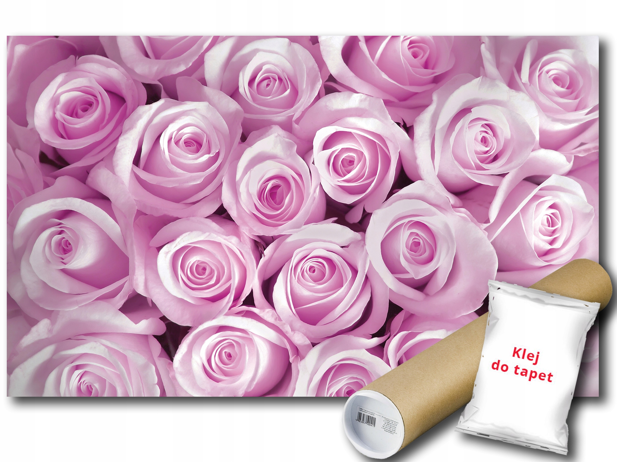 Fototapeta Ruže Ružičky 9B F2XL 312x219 F142